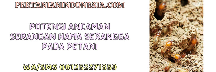 potensi,ancaman,hama,serangga,hama serangga